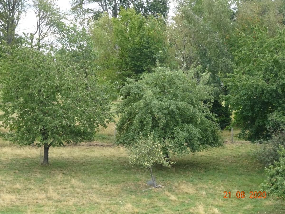 Ferienwohnung Lohrer Нидегген Экстерьер фото